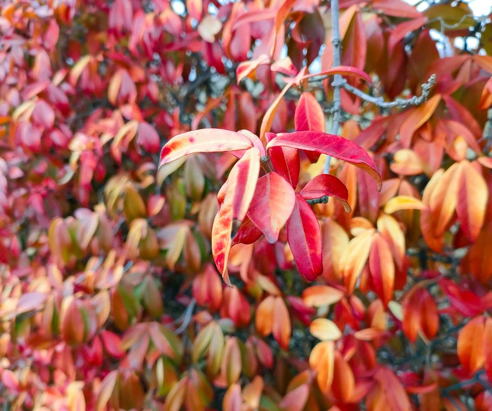 Photograph by Martina Bortoluzzi