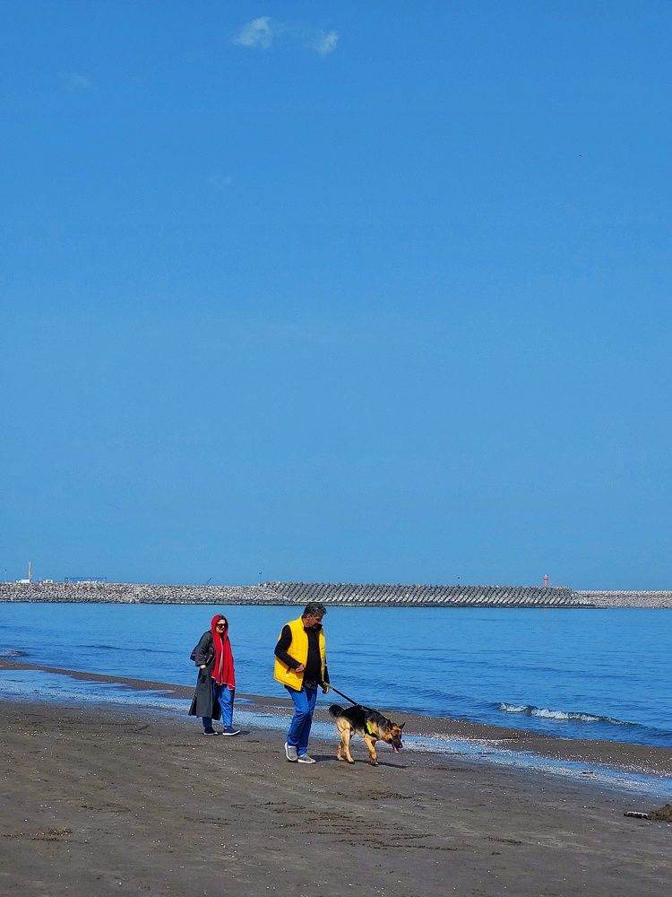 Photograph by shima yousef zade