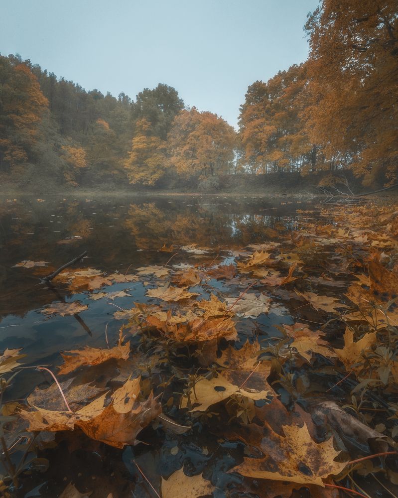 Фотография автора Мартыненко Дмитрий