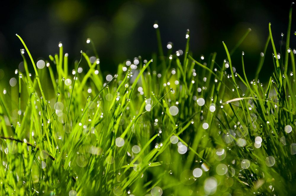 Photograph by Анастасия Кашенко