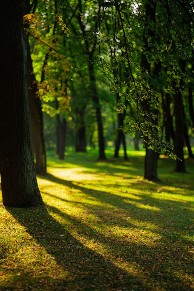 Photograph by Екатерина Мохначева