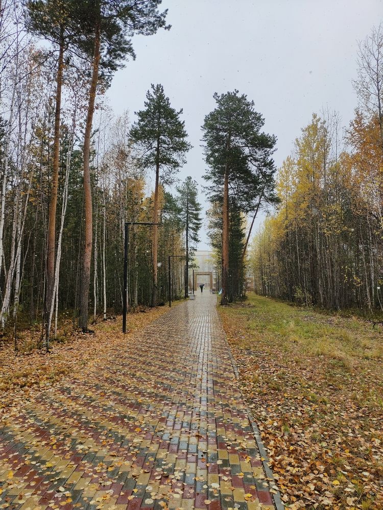 Photograph by Sergey Kashnikov