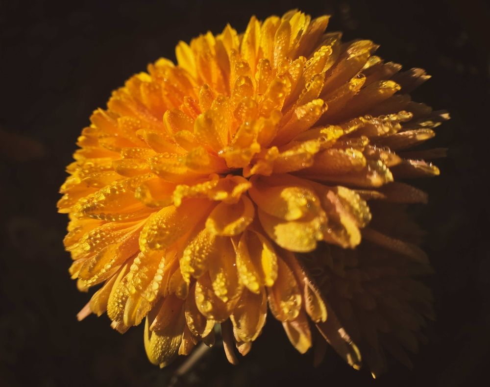 Photograph by Антонина Наговицына