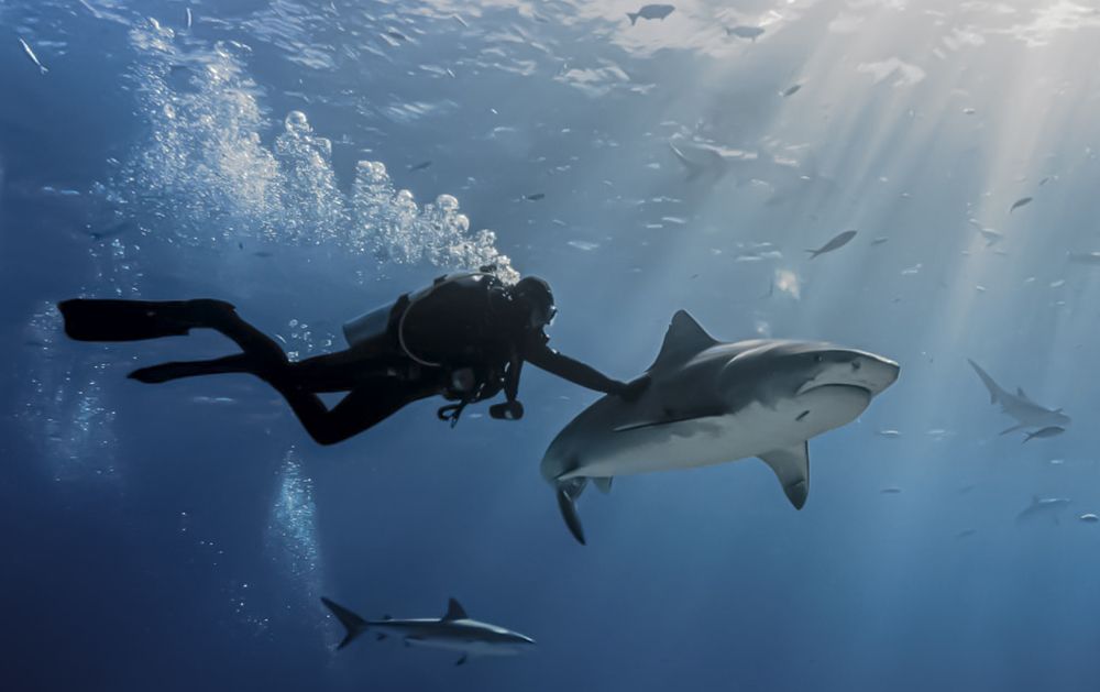 Photograph by Олег Герасимов