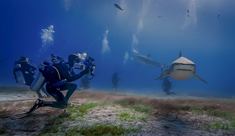 Photograph by Олег Герасимов