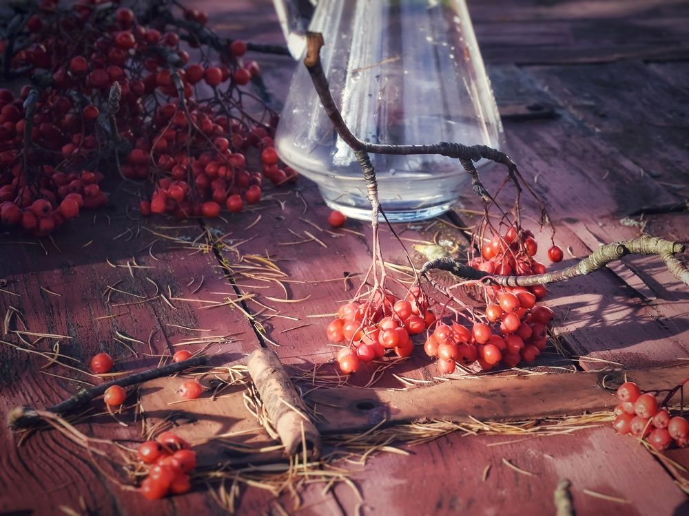 Photograph by Елена Павлова