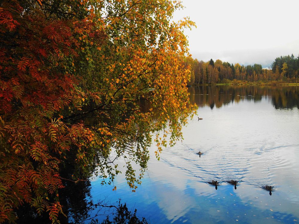 Photograph by Александр Стрижов