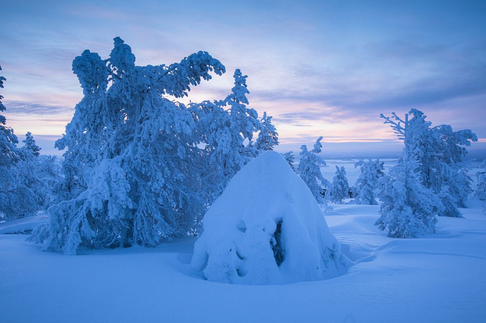 Photograph by Мария Казакова