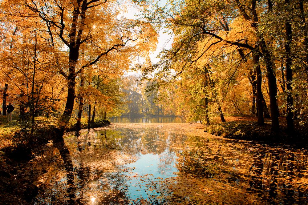 Photograph by Юлия Степанская