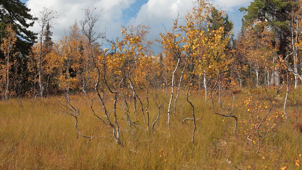 Photograph by Александр Полюдов