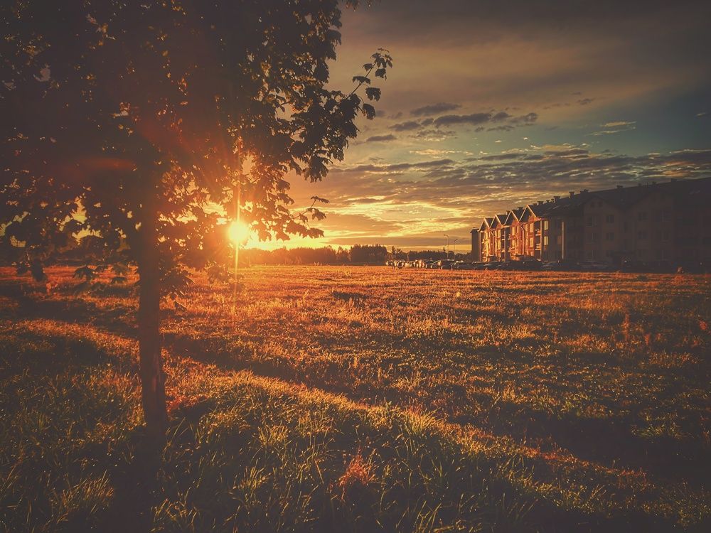 Фотография автора Павелс Куренбинс