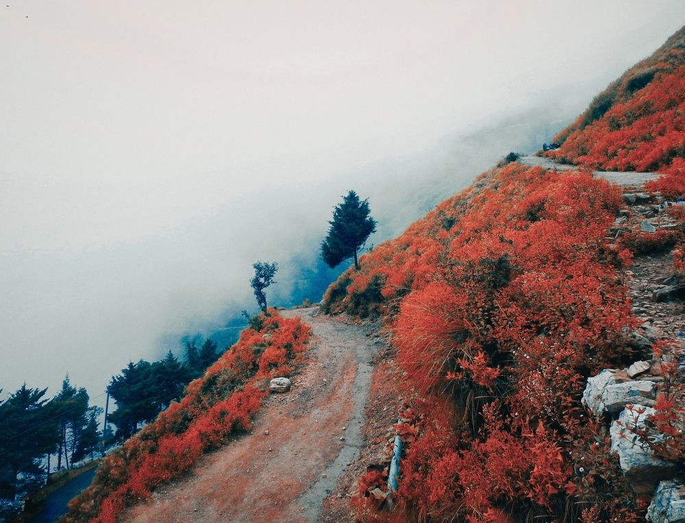 Photograph by Tanusri RoyChowdhury