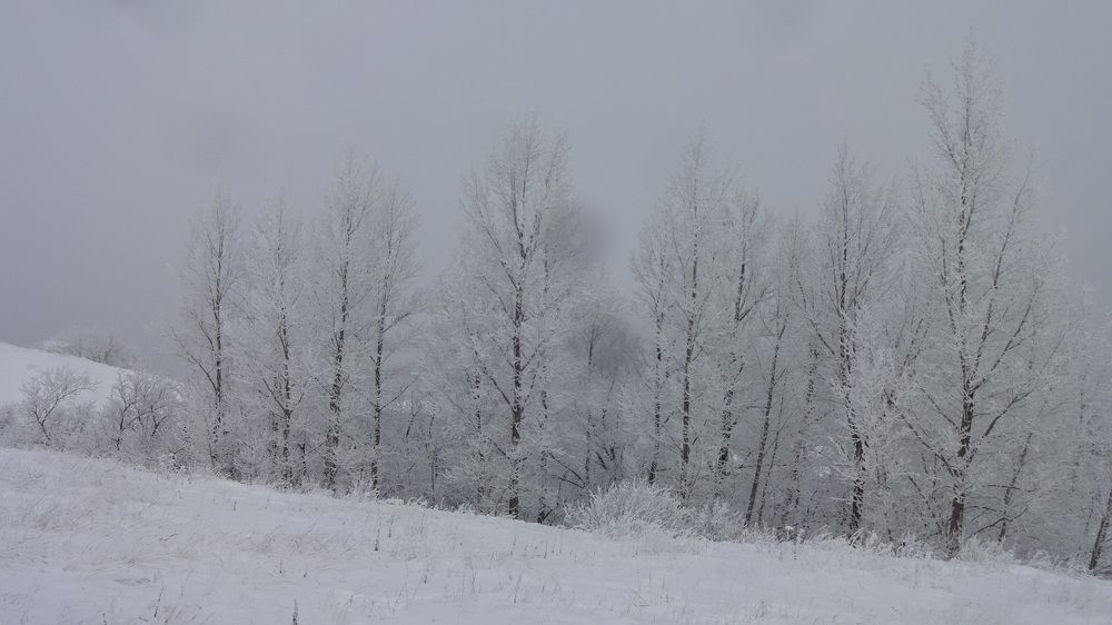 Photograph by Елена Мясникова