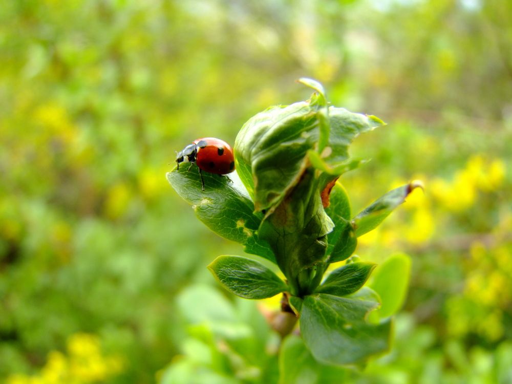 Photograph by Cengiz Yalcin