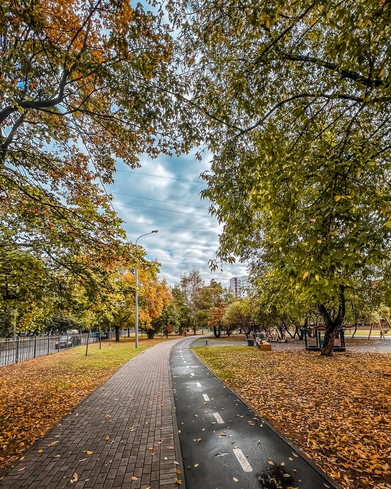 Photograph by T.Ю. Гринько