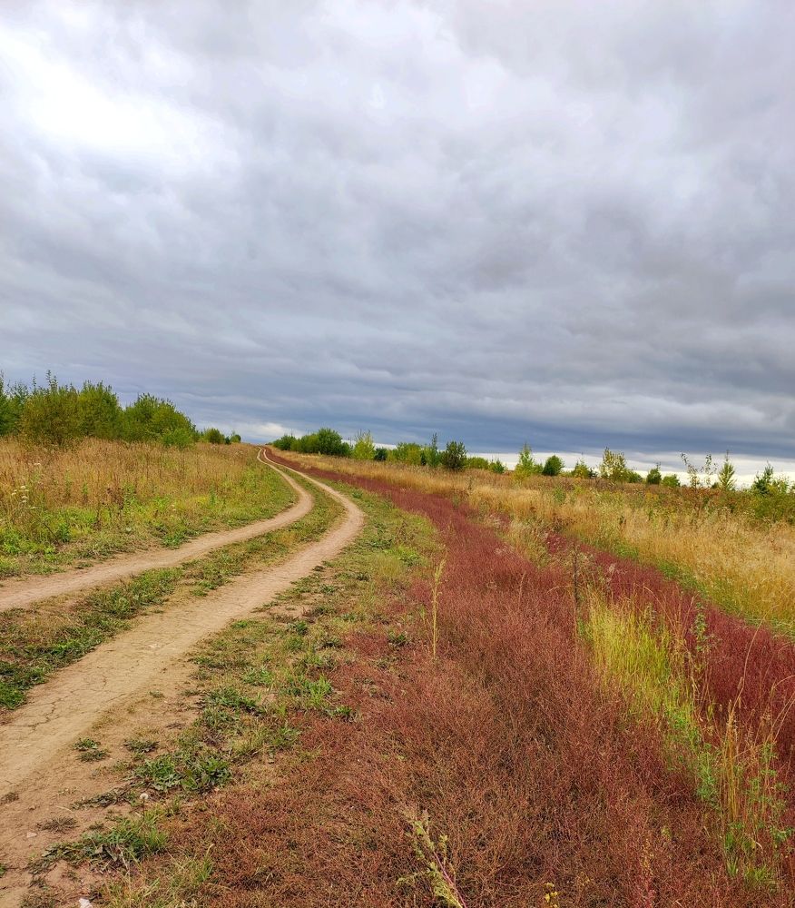 Photograph by Надежда