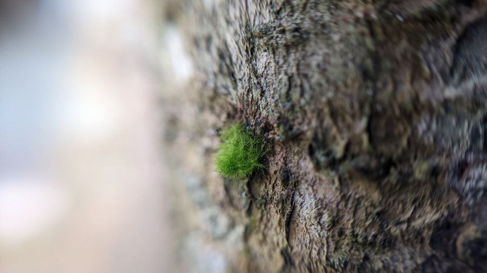 Фотография автора Ganesh Varma