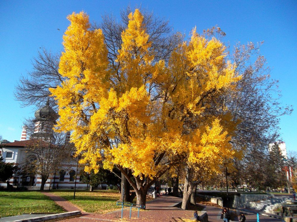 Photograph by Olga Vatkova