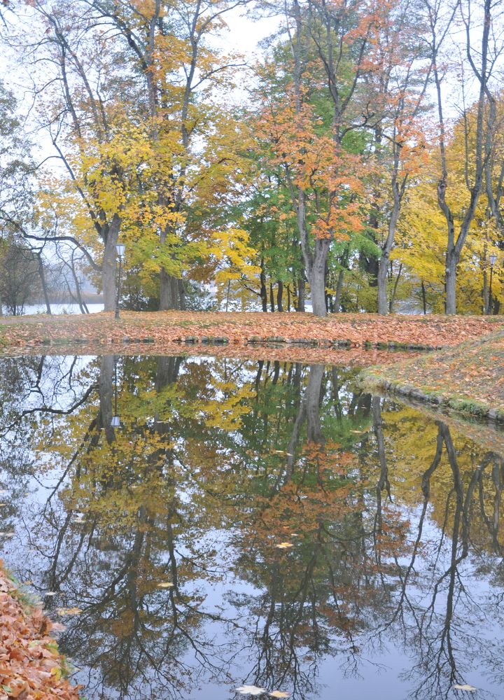 Photograph by Андрей Старовойтов