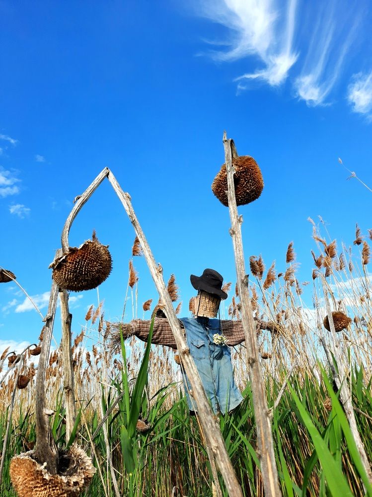 Photograph by Jelena Vasic