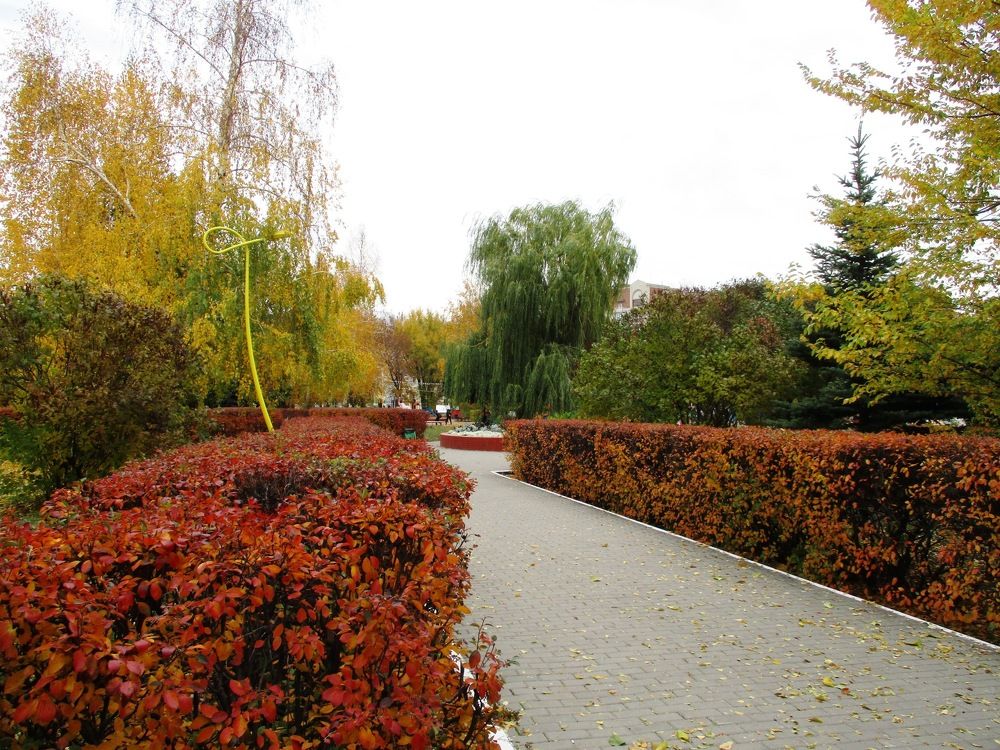 Photograph by Татьяна Иваненкова
