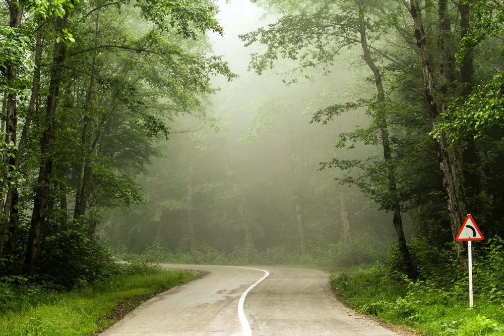 Photograph by Gholamreza Rezaei Aghozgole