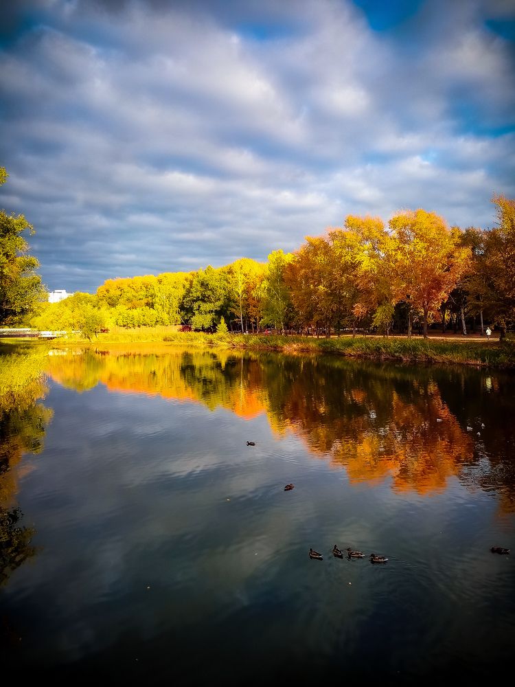 Фотография автора Татьяна Шахова