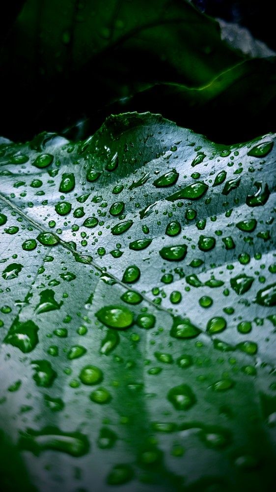 Фотография автора Ganesh Varma