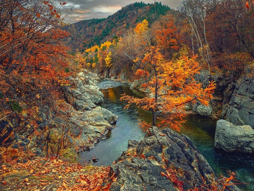 Красота осенней тайги.