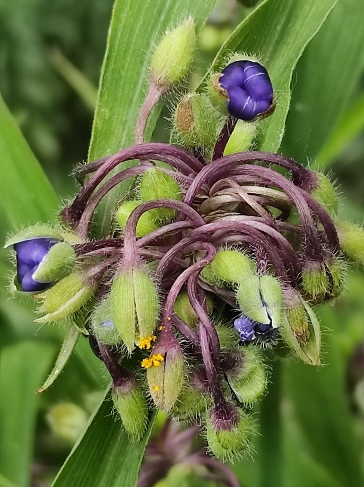 Photograph by Луиза Баширова