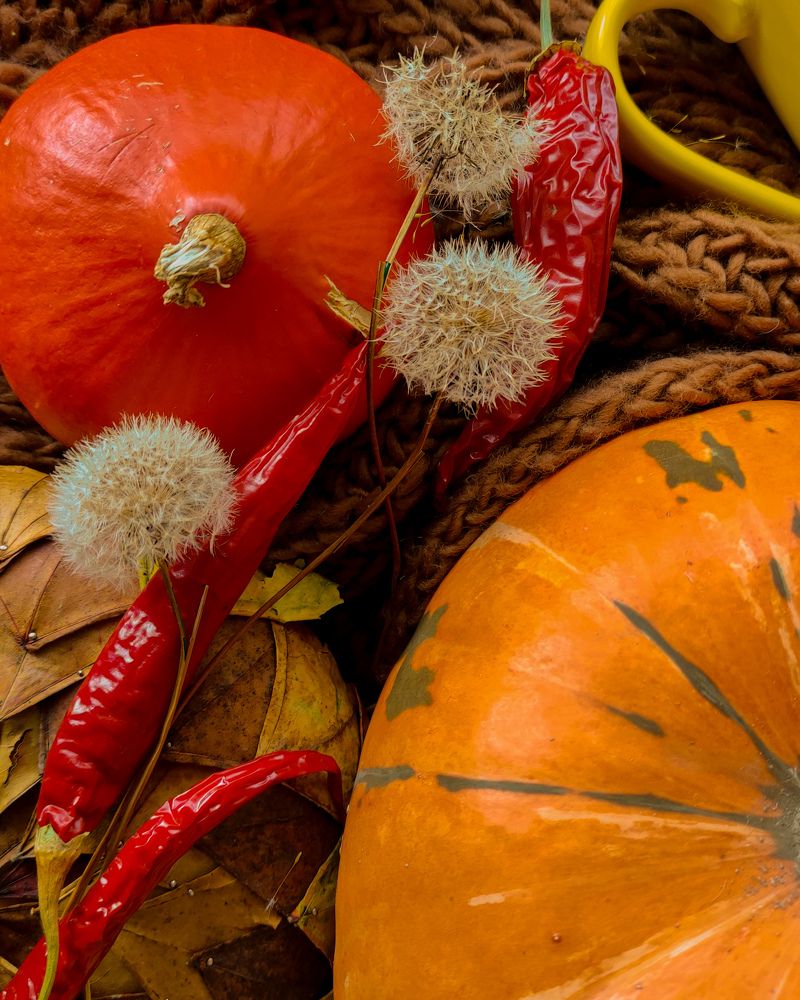 Photograph by Максим Зенкевич