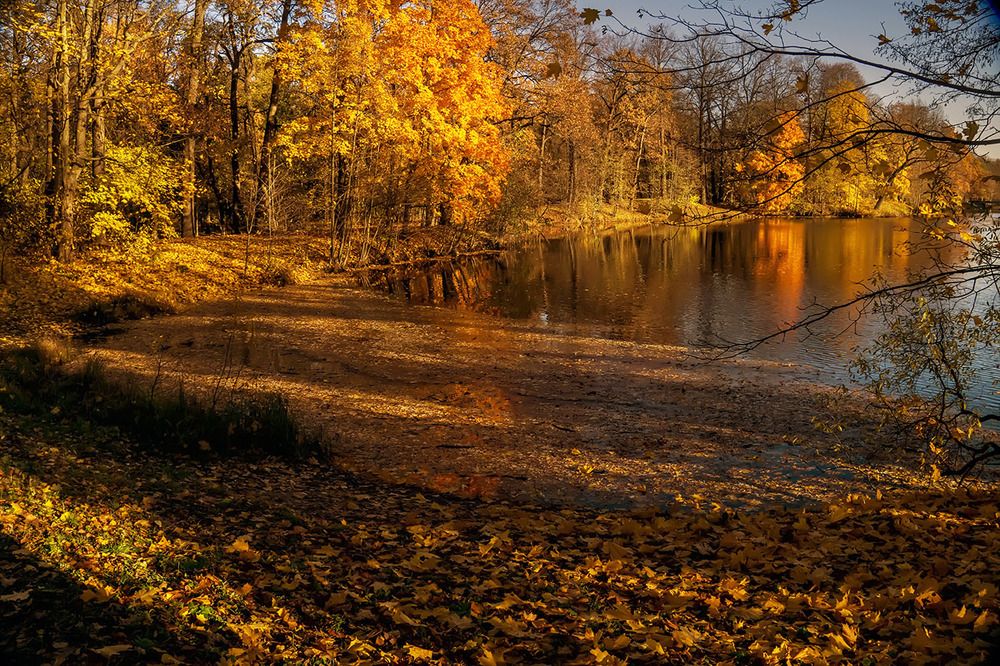Осень в городском парке