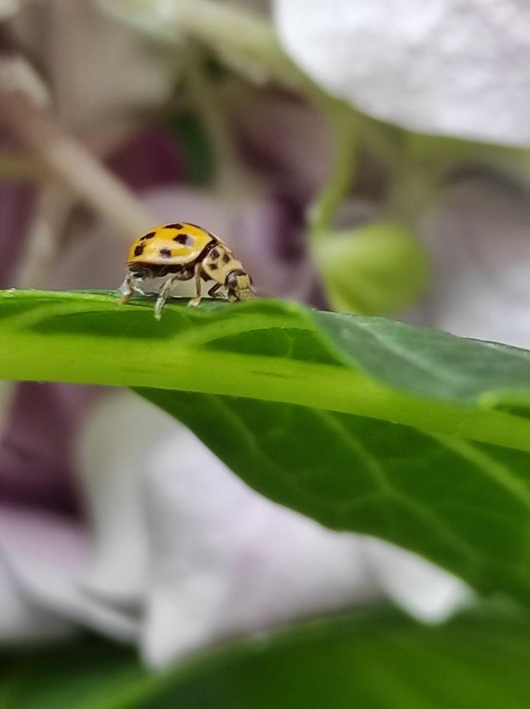 Photograph by Луиза Баширова