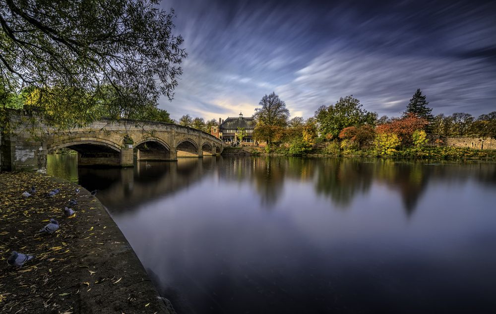 Photograph by ONSY WAEL