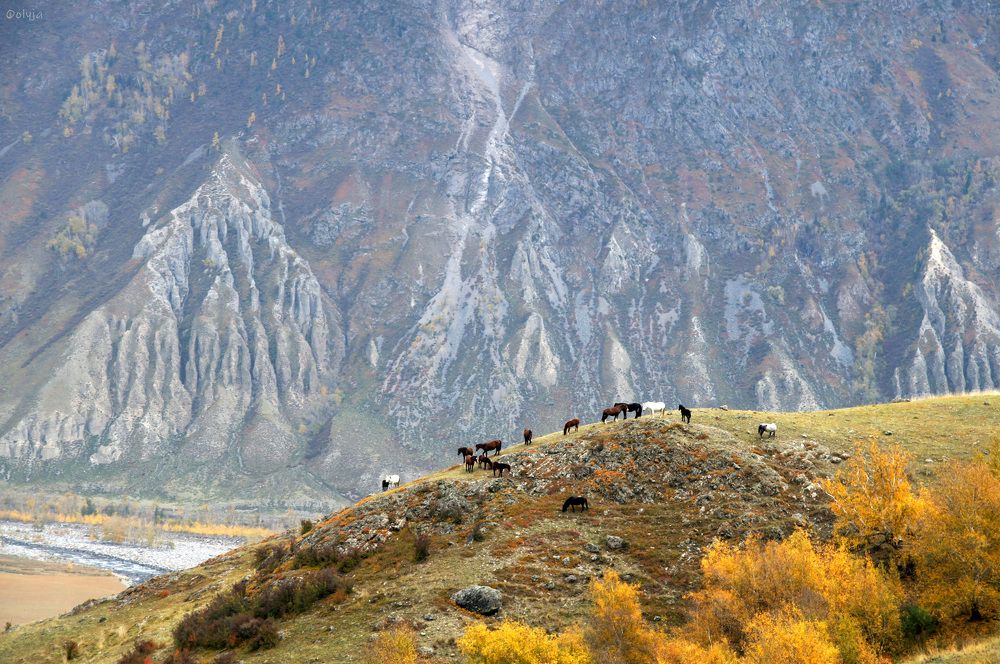 Алтайские прогулки