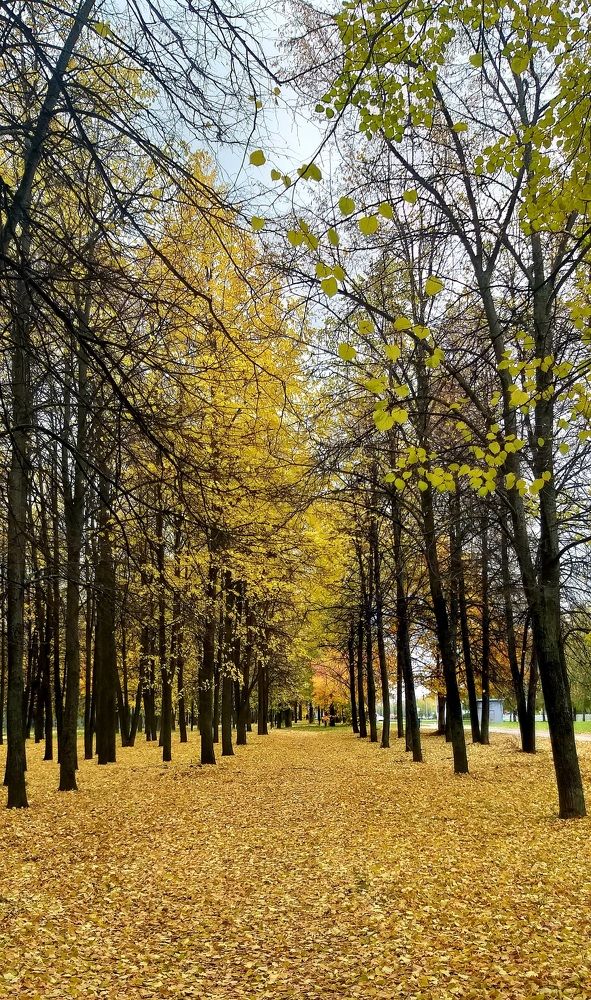 Photograph by Лейсан