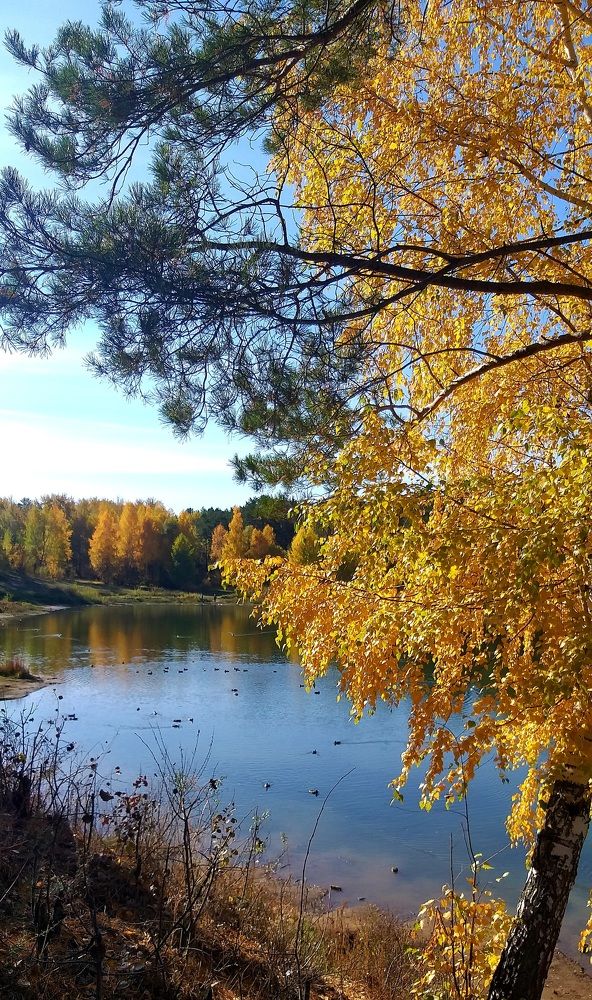 Photograph by Лейсан