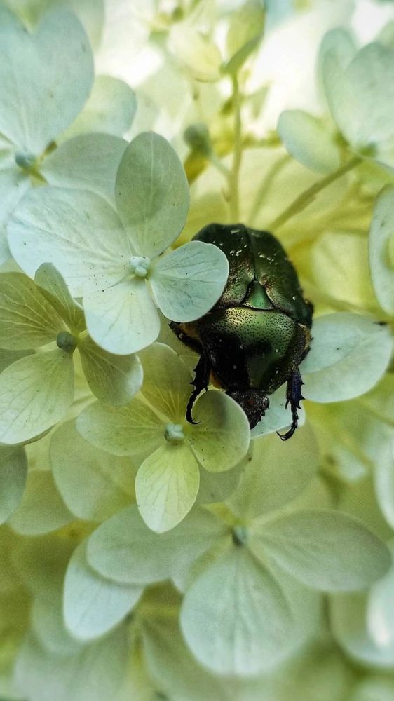 Photograph by ТАТЬЯНА ПАНОВА