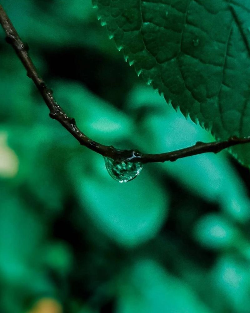 Photograph by ТАТЬЯНА ПАНОВА