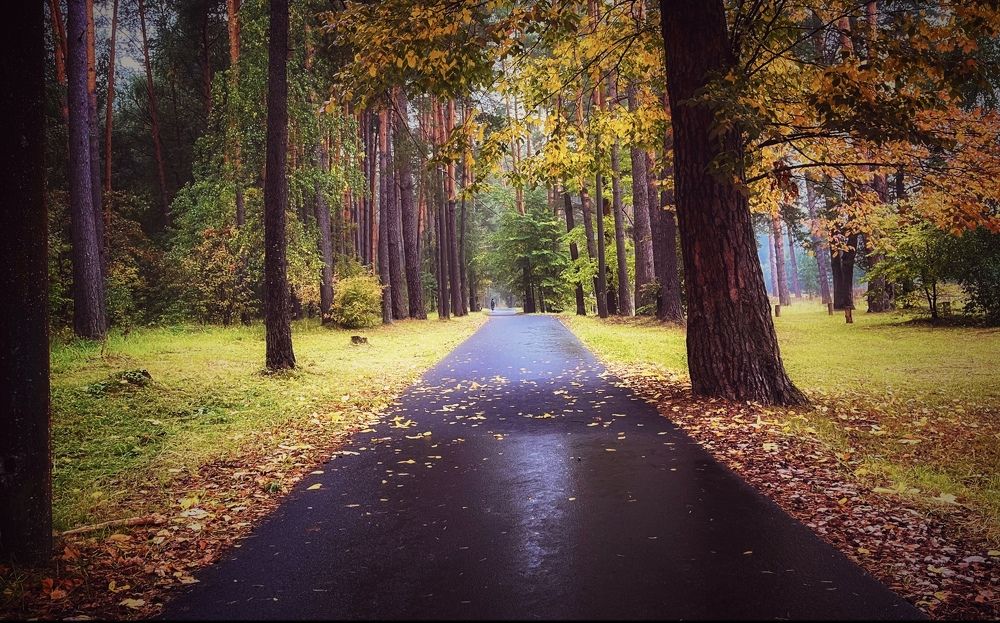 Осенний парк