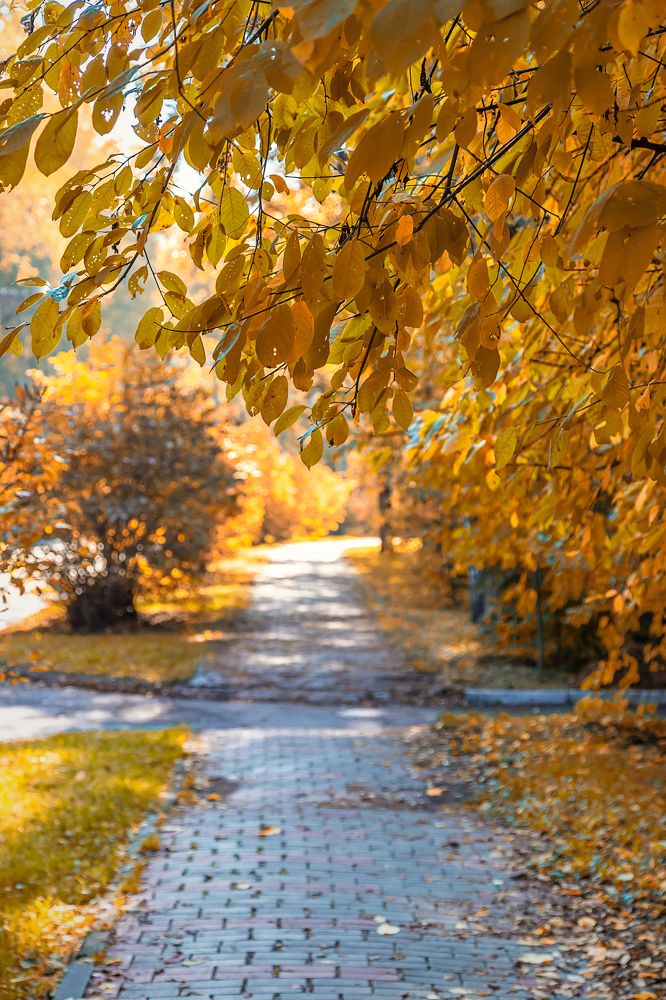 Фотография автора Andrey Pristyazhnyuk