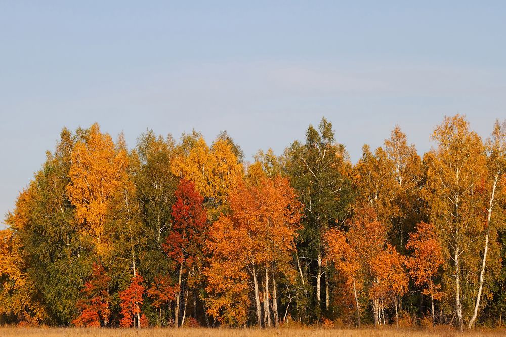 Фотография автора Andrey Pristyazhnyuk