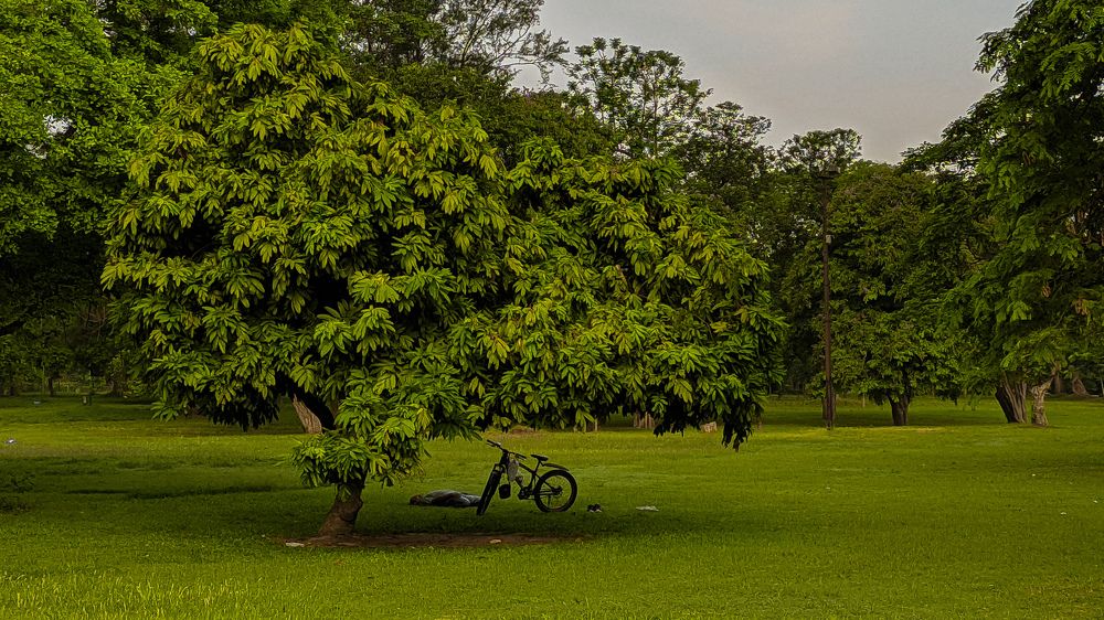 Фотография автора Subham Durgey