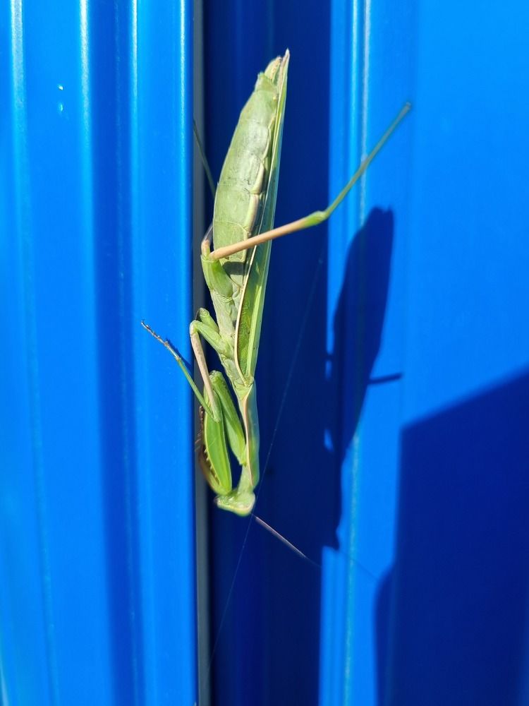 Photograph by Ирина Герлин