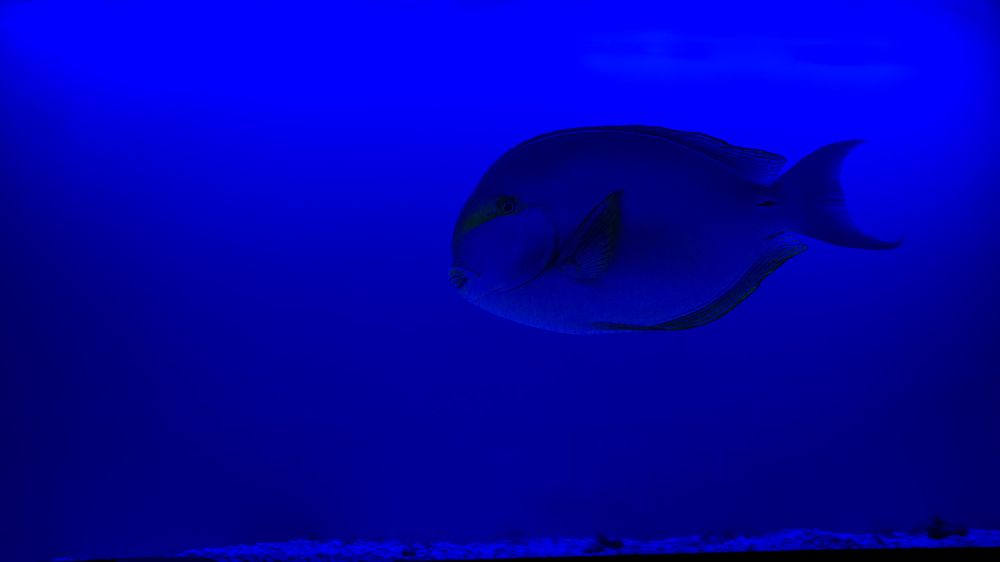 Photograph by Дмитрий