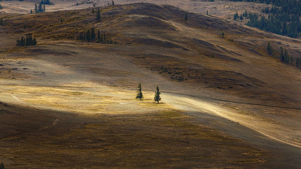 Photograph by Vladimir Schelkunov