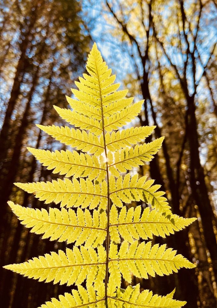 Photograph by Анна