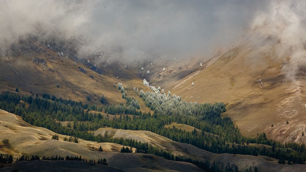 Photograph by Vladimir Schelkunov