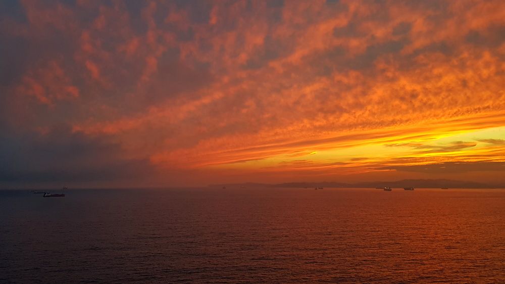 Photograph by ALEKSANDRA KUZNETSOVA