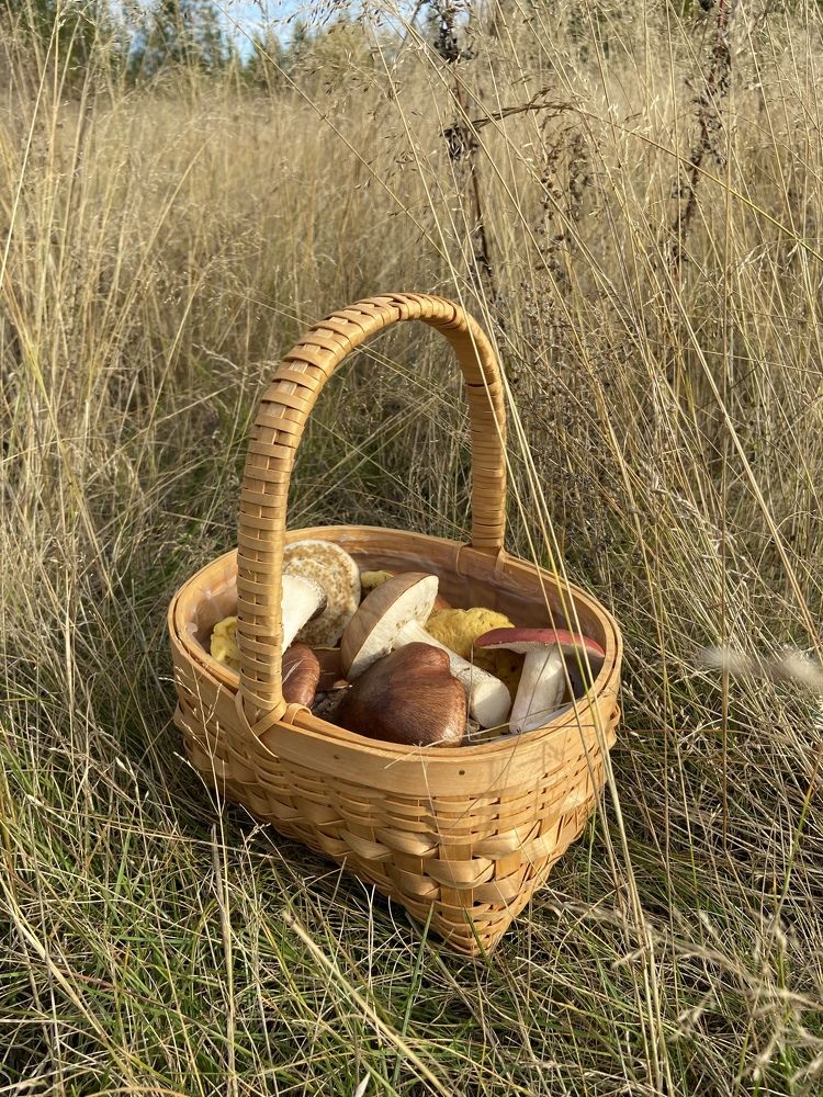 Photograph by Анна